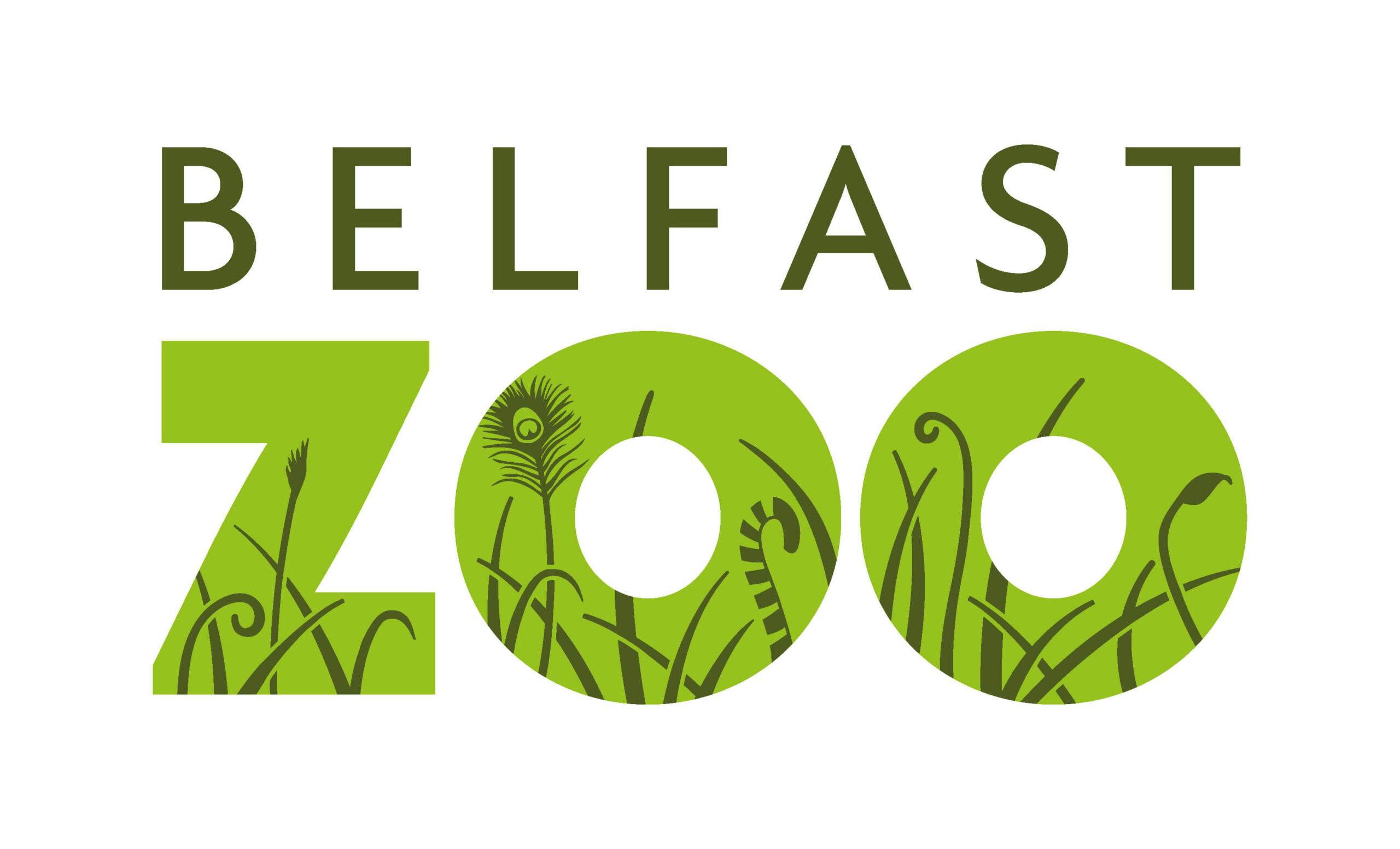 Belfast Zoological Gardens Attractions, Family Activites, Indoor