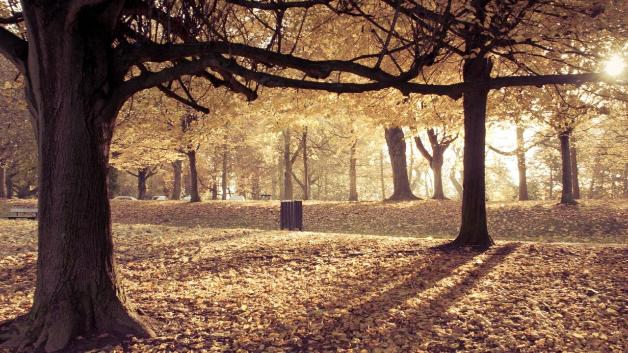 Barnett Demesne