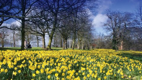 Barnett Demesne
