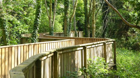 Stormont Estate Boardwalk