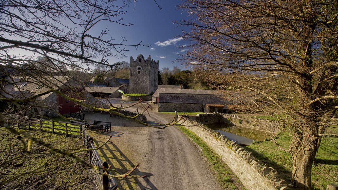 Castle Ward