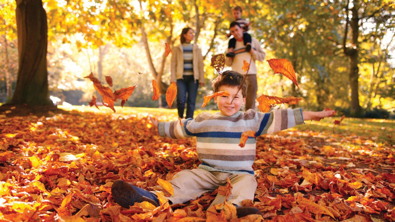 Child Playing in Autumn Leaves at Dixon Park