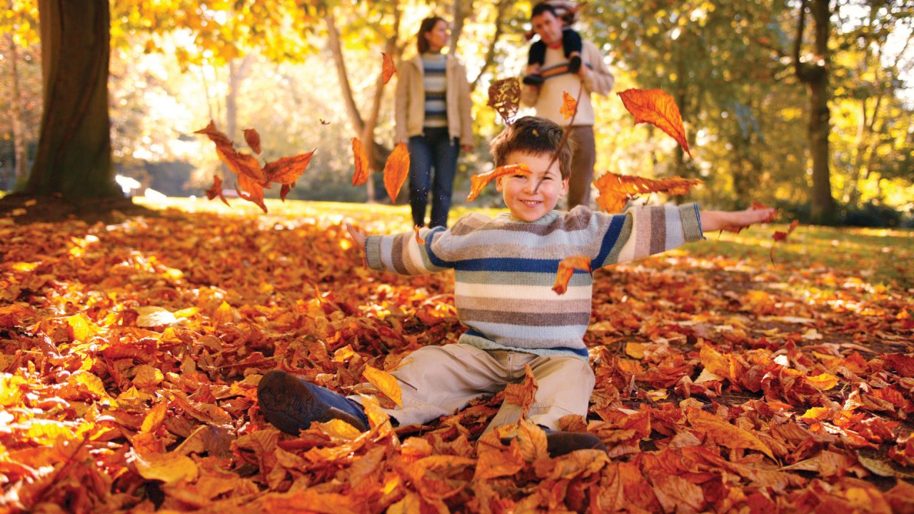 Child Playing in the Leaves at Sir Thomas and Lady Dixon Park Autumn