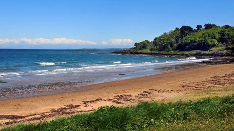 Crawfordsburn Country Park