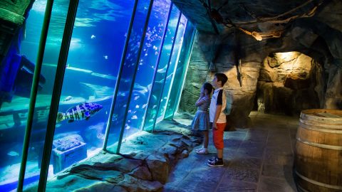 Exploris Aquarium