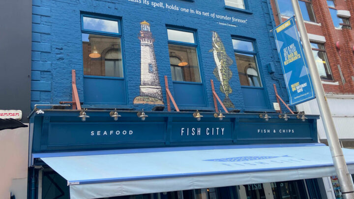 Fish City 2021
