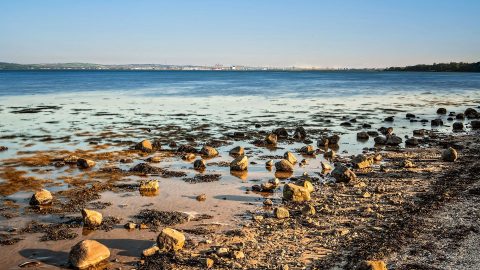 Jordanstown Loughshore Park