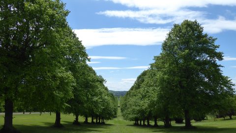 Stormont Estate