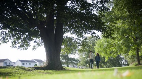 Moira Demesne