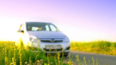 Rhino Car Hire