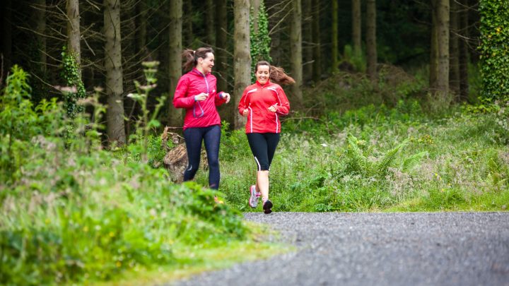 Runners in Carin Wood