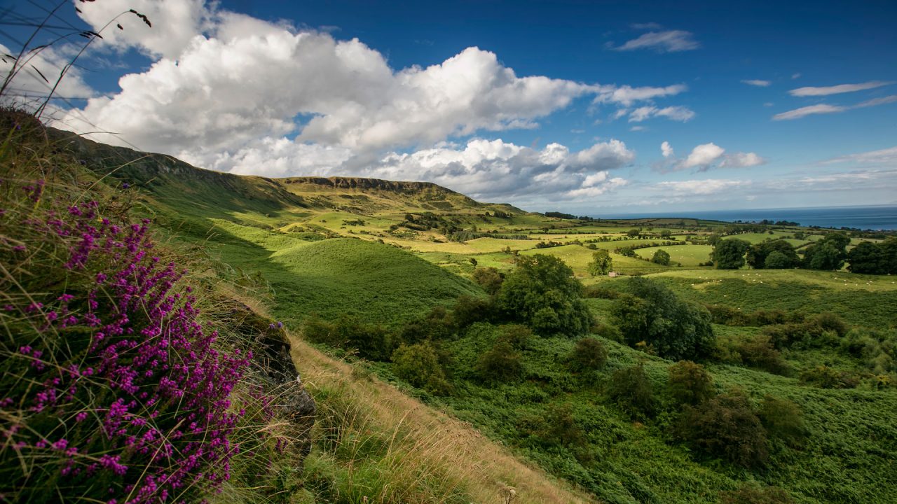 Sallagh Braes The Riverlands