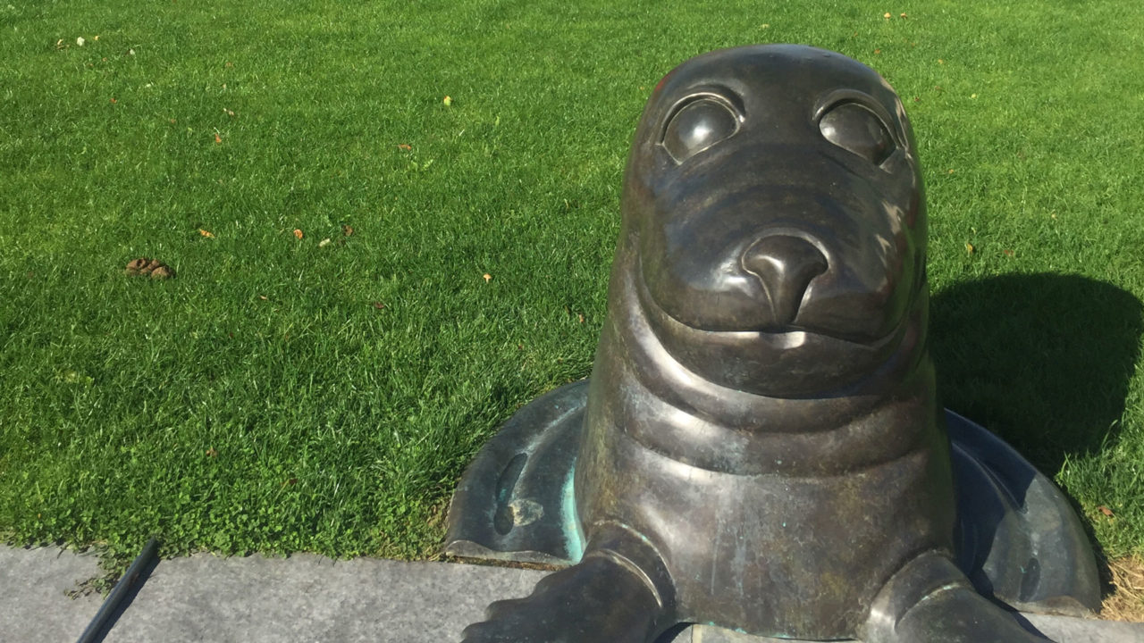 Sammy the Seal Public Art