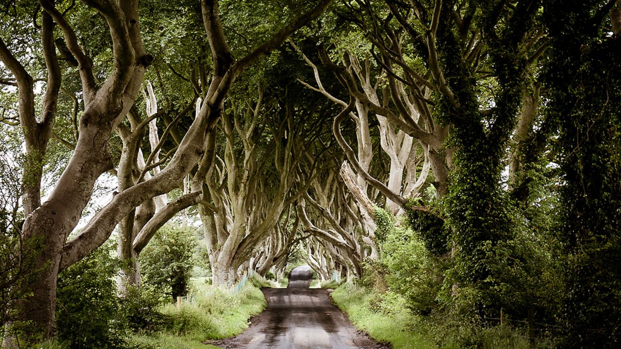 Game of Thrones Film Locations | Game Of Thrones, Things To Do, Tours And Trails | A blog full of ideas and inspiration | Visit Belfast