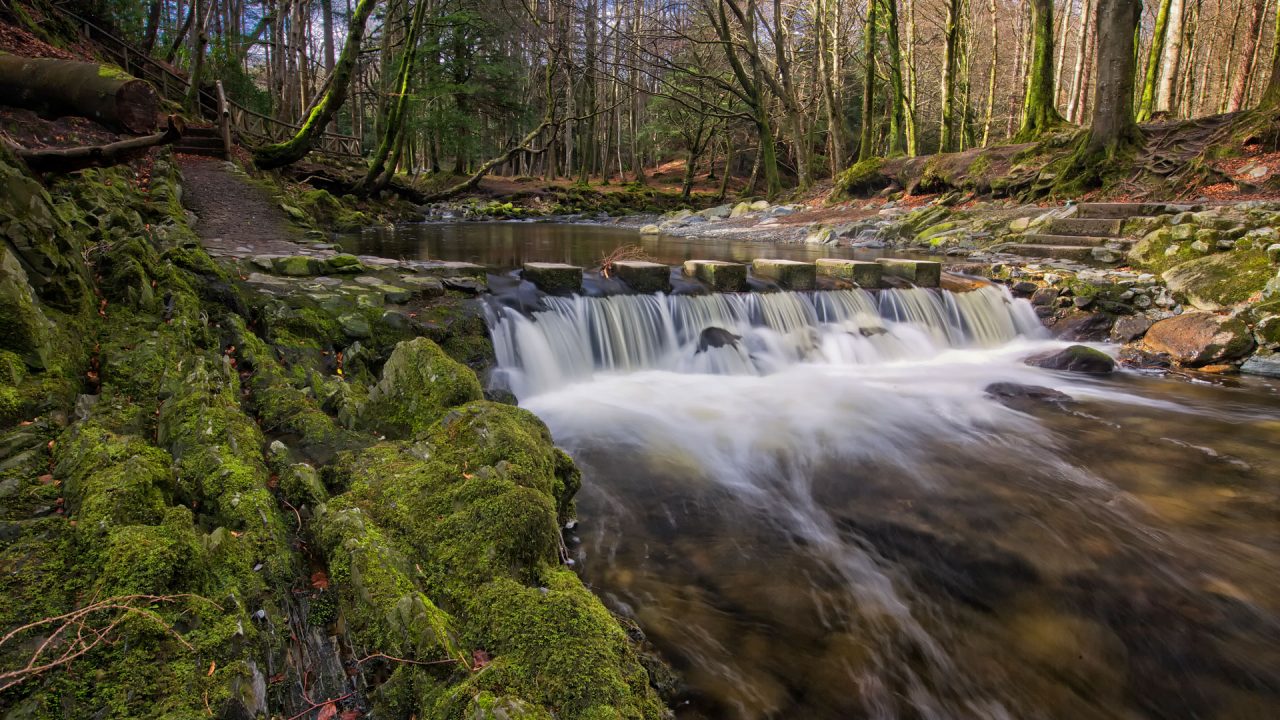 Tollymore Forest