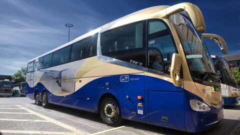 Translink Goldliner bus