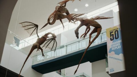 Ulster Museum VB 7