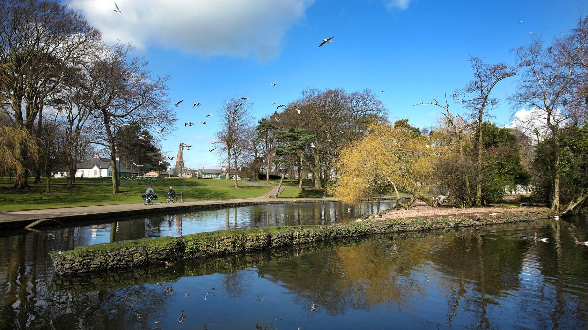 Ward Park | Attractions | Visit Belfast