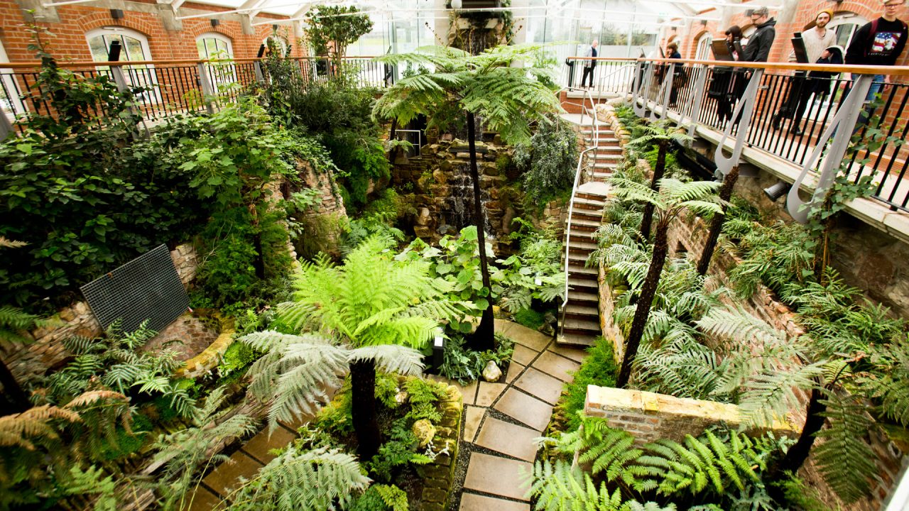 tropical ravine