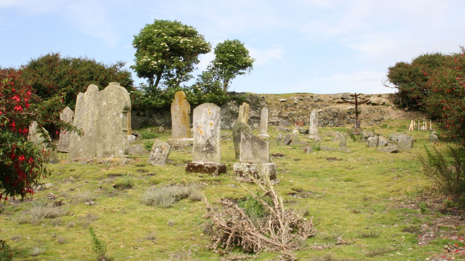Copeland Islands Visit Belfast