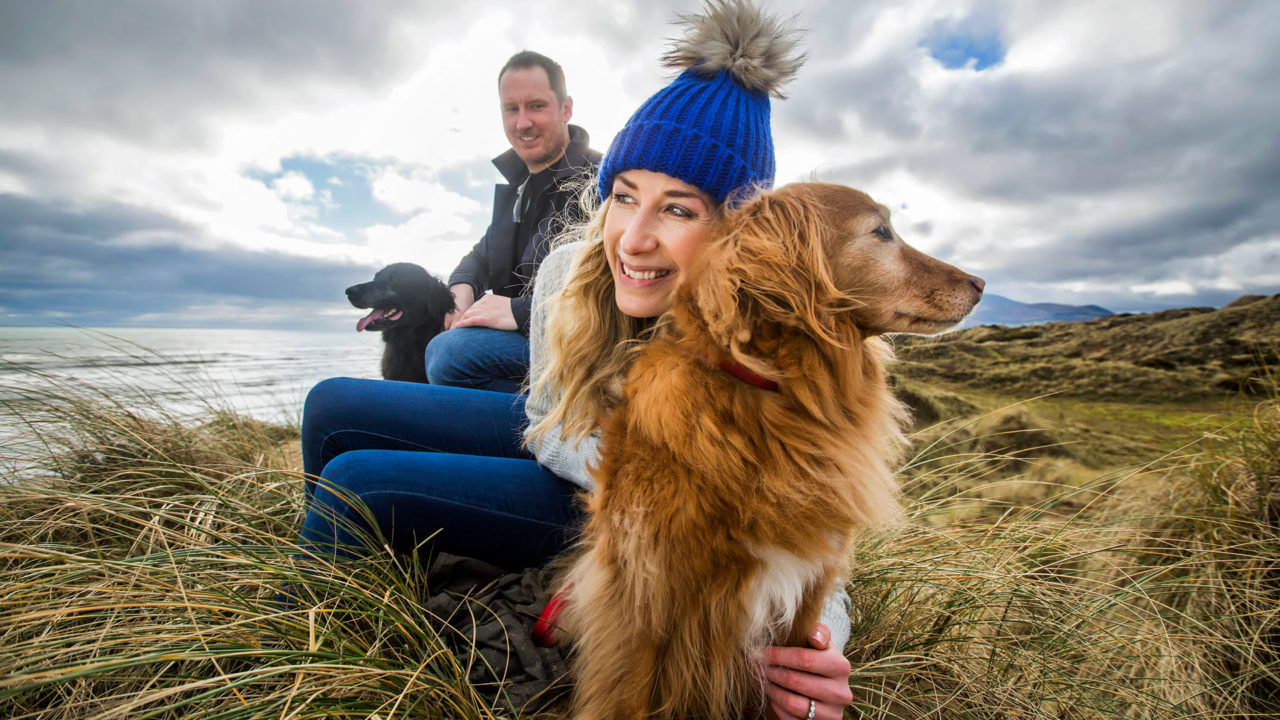 can you take dogs to northern ireland