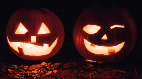 Halloween Halloweeuns Jungle NI