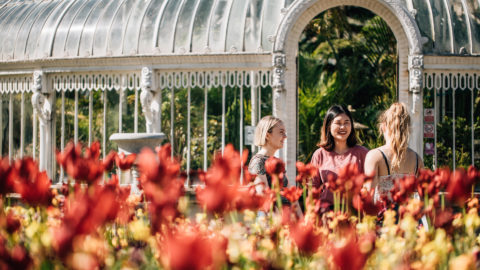 Queens University Students6 Botanic Gardnes