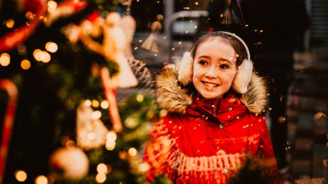 Christmas Shopping 2020 Lights and Decorations
