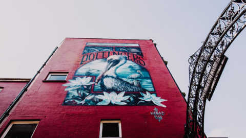 Pelican Street Art Pottingers Entry Belfast City Council
