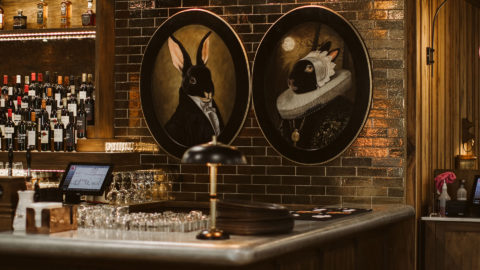 The Rabbit 7