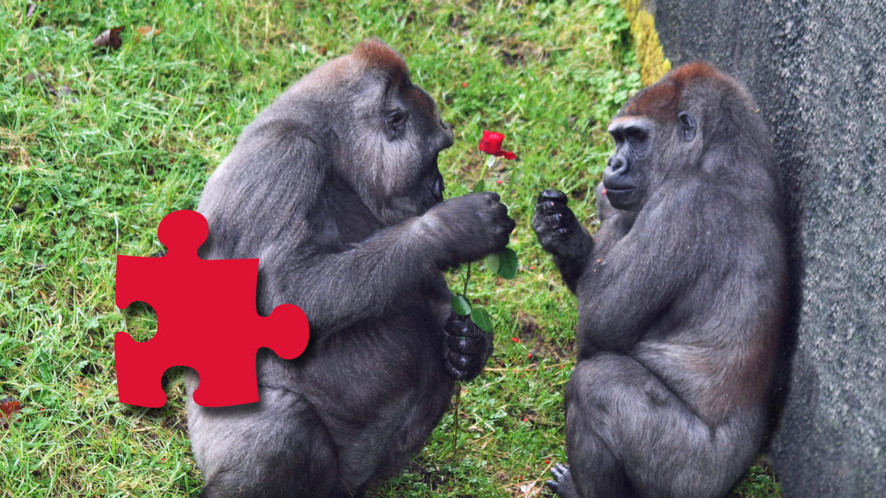 ValentinesDay belfast zoo Jigsaw Puzzle