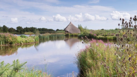 Experience Ards and North Down Grow and Graze Castle Espie