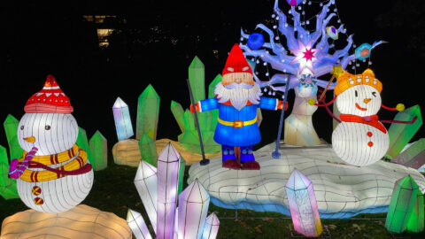 Bright Lights Botanic