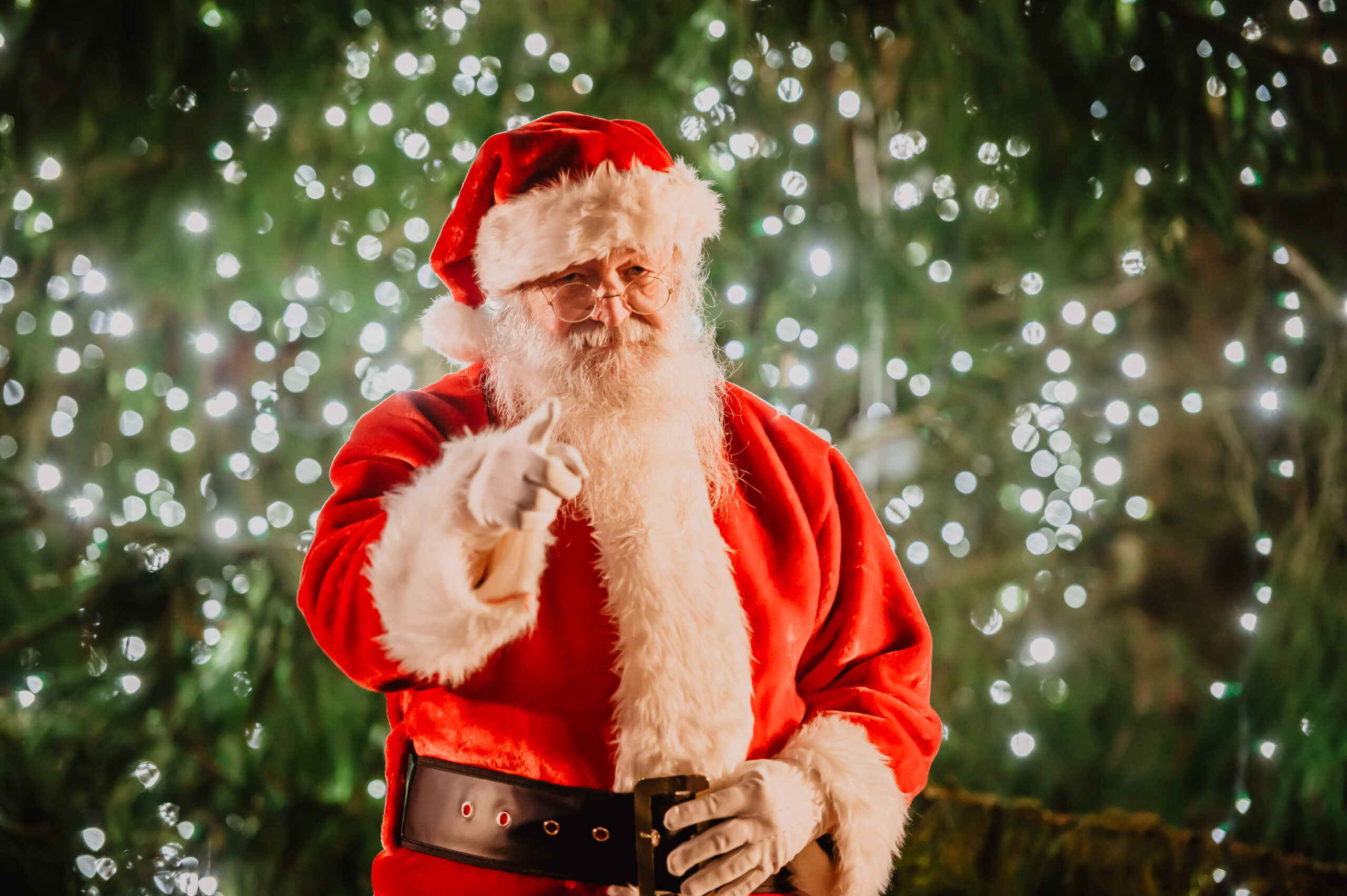 santa home visits belfast