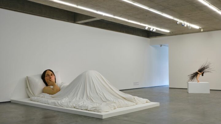 Ron Mueck  (4)
