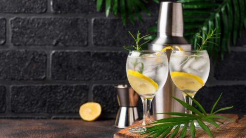 gin jaunt
