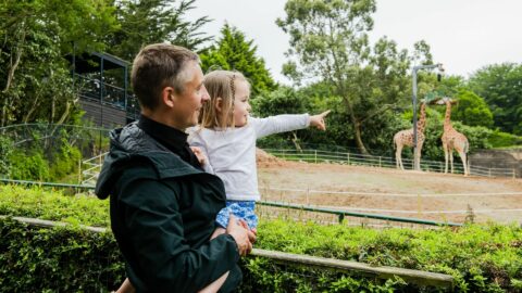 zoo bank holiday