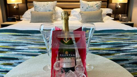 Bolly Good Stay