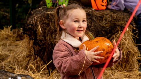 Gruffalo Halloween Guided Walk at Colin Glen