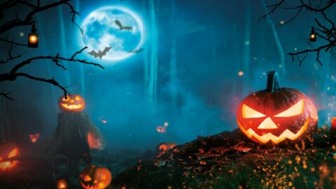 Halloween Howler