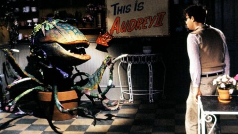 Little Shop of Horrors (1)