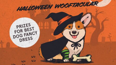 Pooch Social Halloween