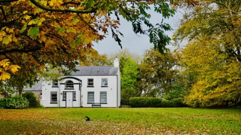 The Ballance House