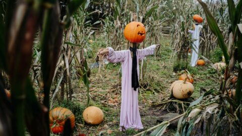 Ulster Folk Park Halloween
