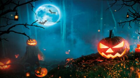 halloween howler