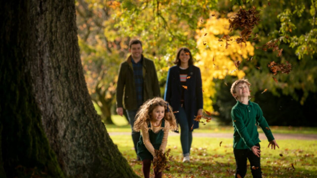 hillsborough autumn (1)