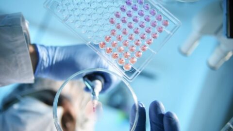 Biomedical Research in Action