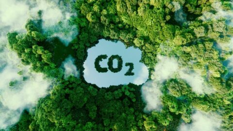 Emission Trading for CO2 and Other Greenhouse Gases