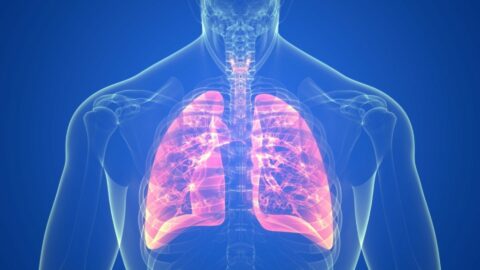 Respiration Workshop