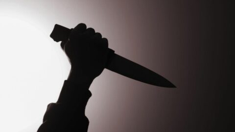 Revenge A Dish Best Served Cold